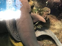 -鸿通城购物中心