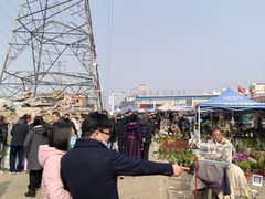 -中环花鸟鱼虫市场