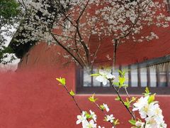 -广富林郊野公园
