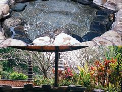 -厦门日月谷温泉渡假村