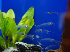 -上海海洋水族馆