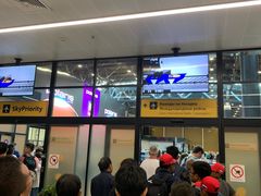 -谢列梅捷沃国际机场