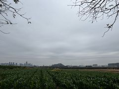 -光明小镇欢乐田园