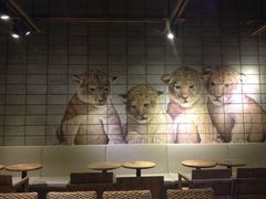 -ZOO COFFEE动物园咖啡(望京锐创店)
