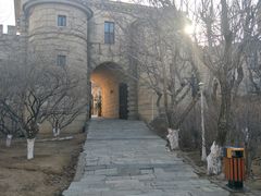 -北京张裕爱斐堡酒庄