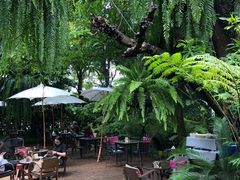 -Fern Forest Cafe