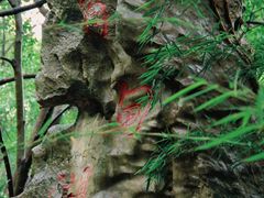 -同里国家湿地公园