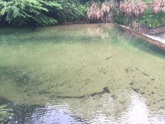 -徽州美食(三十年老店)