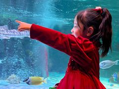 -沈阳海洋探索中心