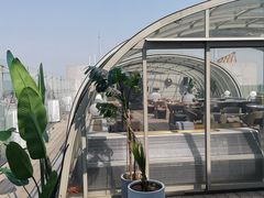 -Hi City·城市之巅