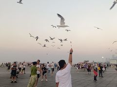-东港音乐喷泉广场