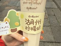 -猫的魔法密林(衣裳街店)
