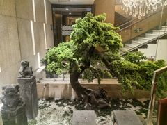-华夏良子·足道SPA艾灸(翠微店)
