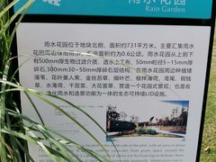 -南汇新城城市公园
