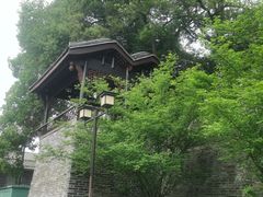 -桂湖森林公园