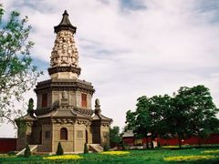 -石家庄市植物园