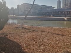 -绿岛公园(滨海新区)