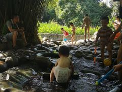 -成都市活水公园