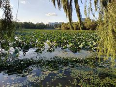 -长春市南湖公园