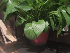 -箪食巷私房菜馆·鲁菜(玉函路店)