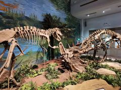 -自贡恐龙博物馆