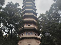 -灵谷景区