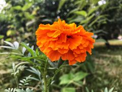 -中家鑫园温泉酒店鑫悦汤泉