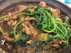 招牌家鸡煲-渝君重庆火锅(嘉宾路店)