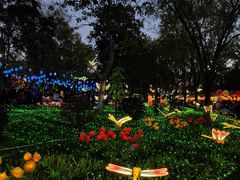 -燕郊植物园