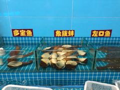 -上海阿潘舟山海鲜店(东宝兴路店)