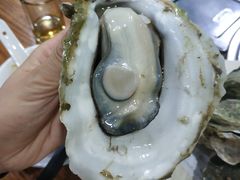 -大富蚝乌东哥饭店·石锅鱼杂·柠檬鸭(革新路店)