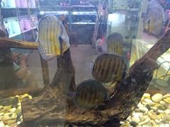 -三旗百汇商品城