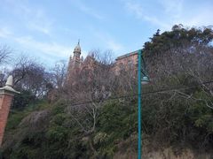 -上海佘山国家森林公园西佘山园