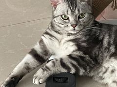 -宠福鑫康馨动物医院·骨科·眼科