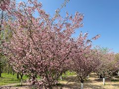 -江苏三台山国家森林公园