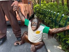 -杭州野生动物世界
