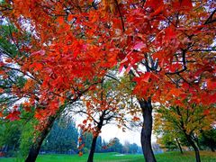 -北京京辉高尔夫俱乐部有限公司