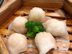 宝园虾饺皇-宝园酒家(美林M·LIVE天地东座店)