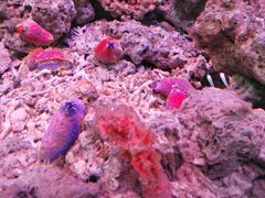 -泉州海丝野生动物世界