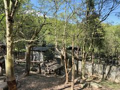 -都江堰中华大熊猫苑