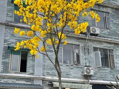 -黄埔古港