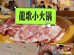 -龍歌自助小火锅(崂山丽达店)