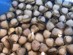 -太湖饭店玉兰厅(自助餐厅)