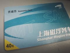 -龙阳路磁悬浮列车总站-停车场