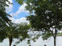 -南宁南湖公园