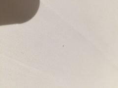 常熟理文铂尔曼酒店-常熟理文铂尔曼酒店