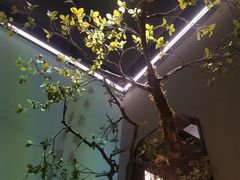 -绿茶餐厅(南昌王府井店)