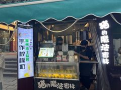 -猫的魔法密林(衣裳街店)