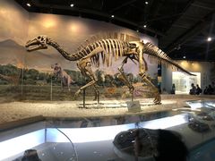 -辽宁古生物博物馆