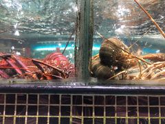 -海大大蒸汽海鲜餐厅·粤菜·特色小炒(欢乐颂店)
